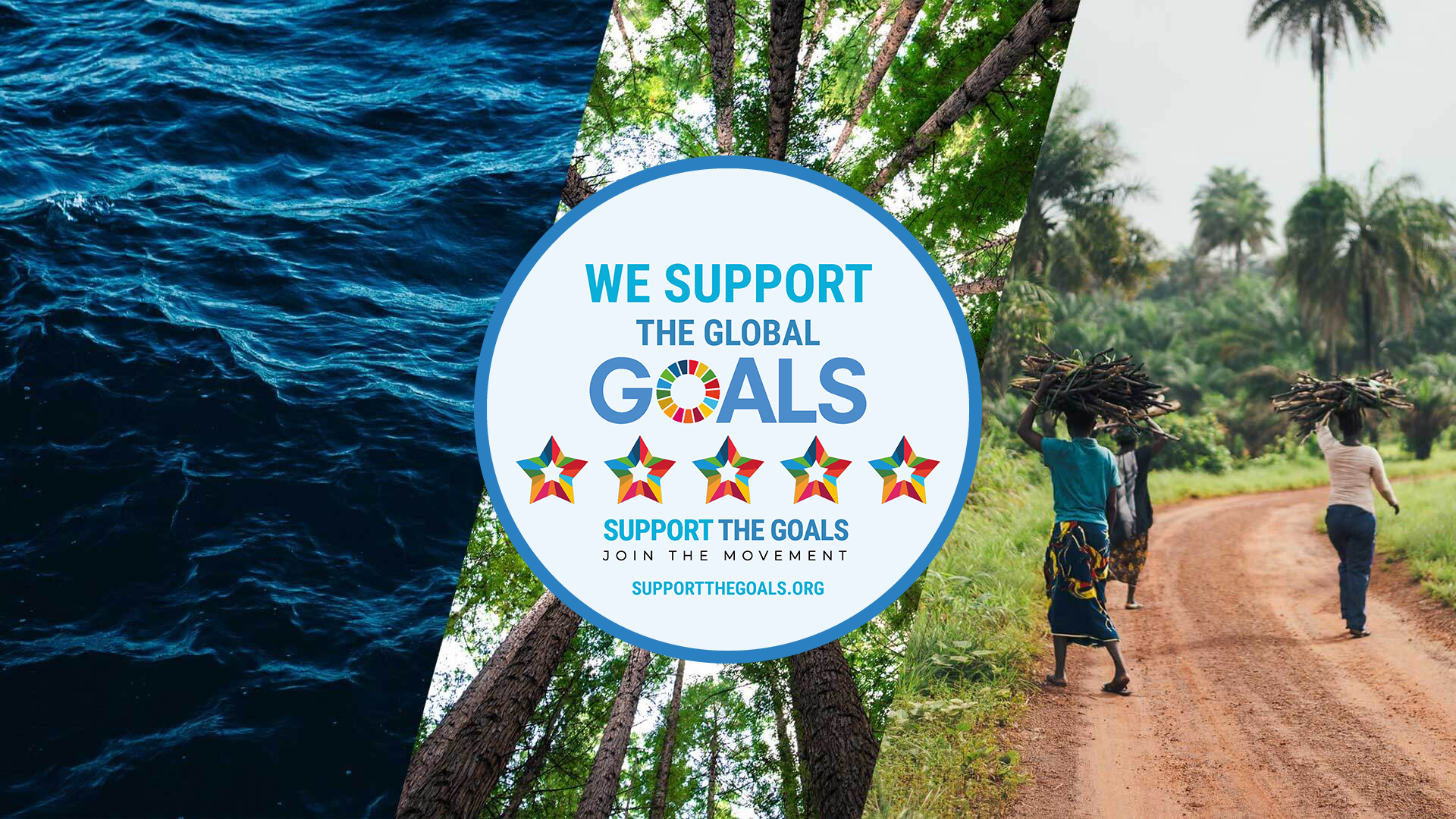 Perspicuity Gains 5* Rating for Supporting the UN Sustainable Development Goals image